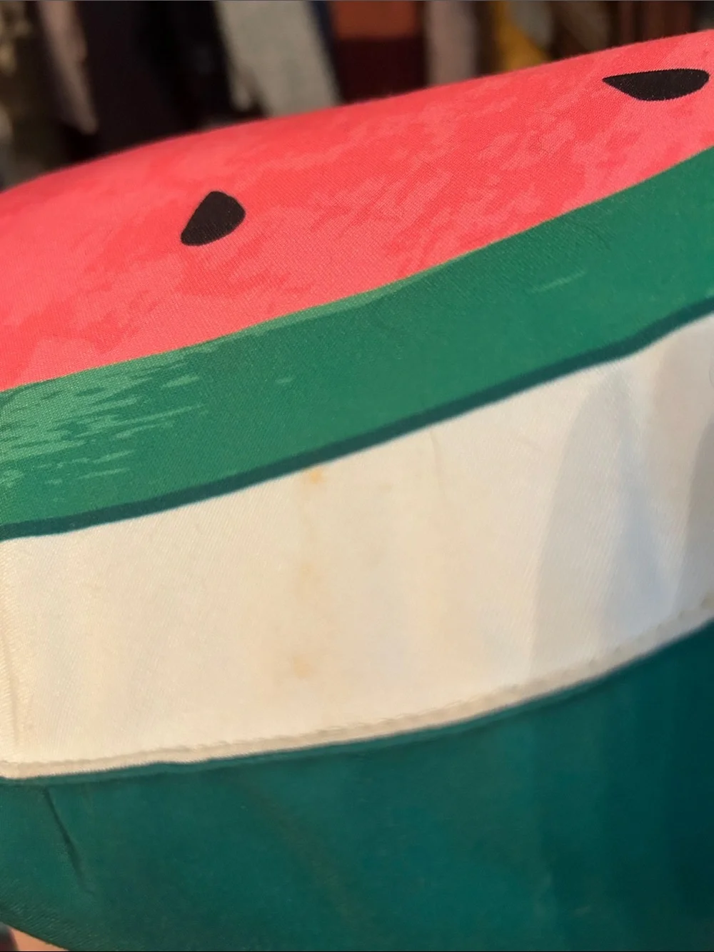 Isaac Mizrahi Watermelon Slice Decorative Pillow - Red, Green, Black, Cream